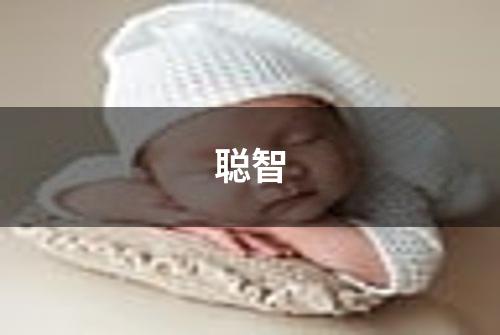 聪智