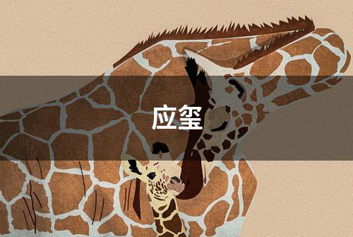 应玺