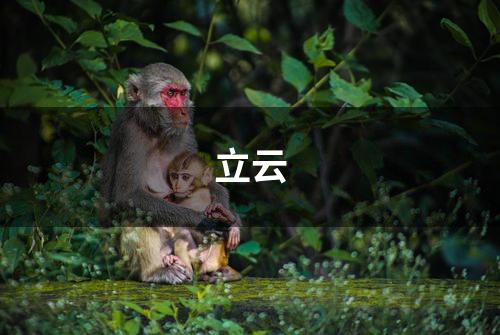 立云
