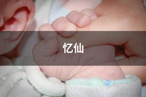忆仙