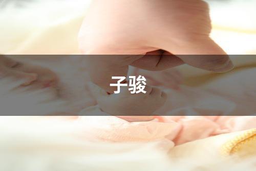 子骏