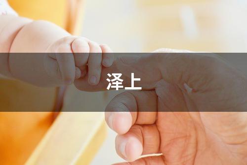 泽上