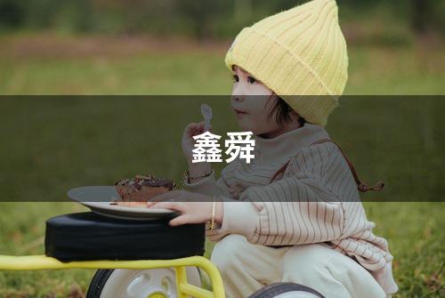 鑫舜