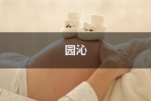 园沁