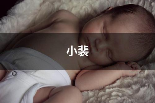 小裴