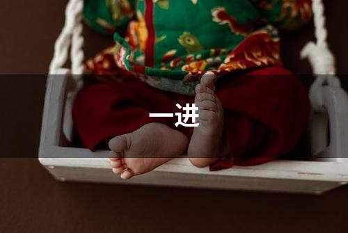 一进