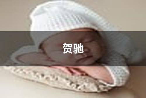 贺驰
