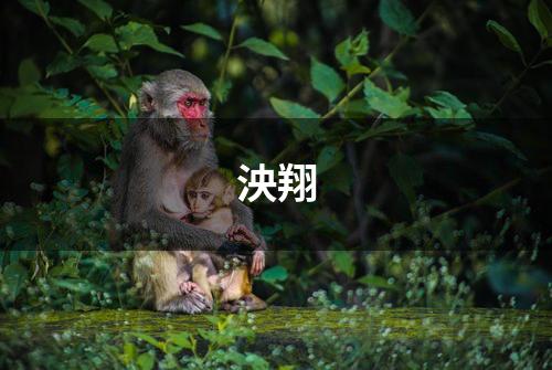 泱翔