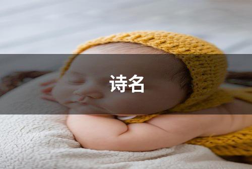 诗名