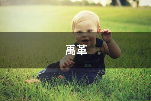 禹革