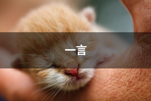 一言