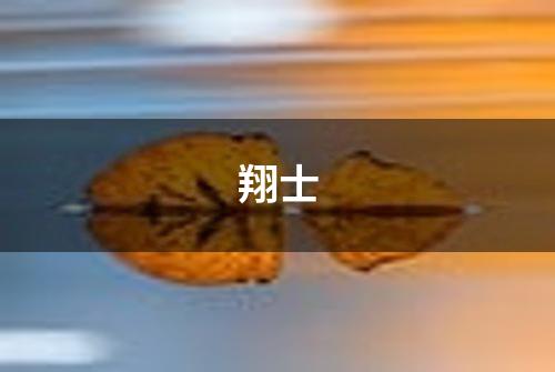 翔士