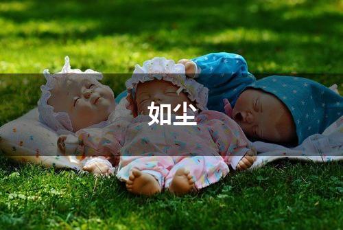 如尘
