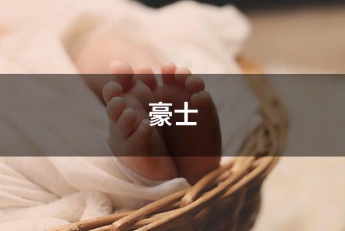 豪士