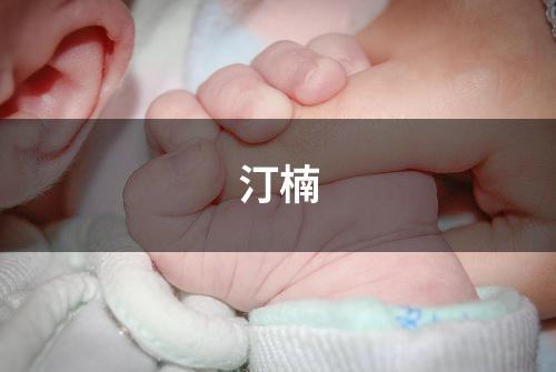 汀楠