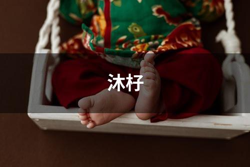 沐杍