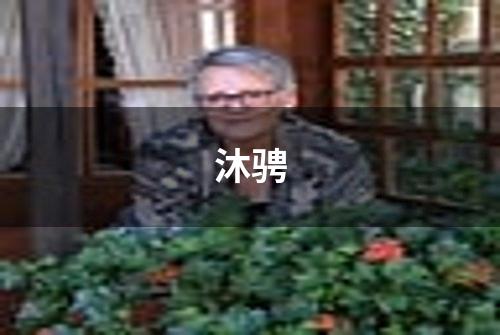 沐骋