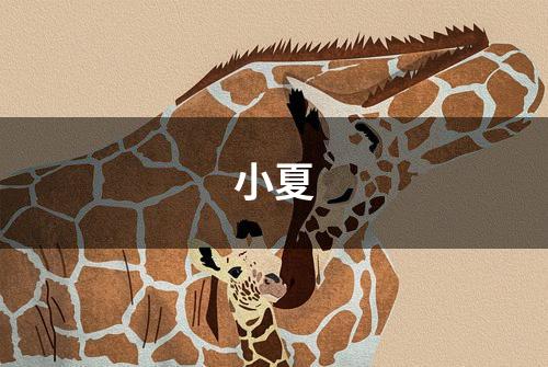 小夏