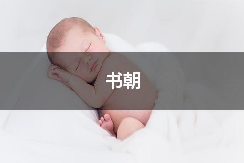 书朝