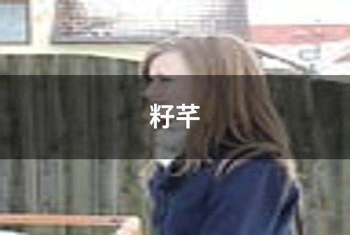 籽芊
