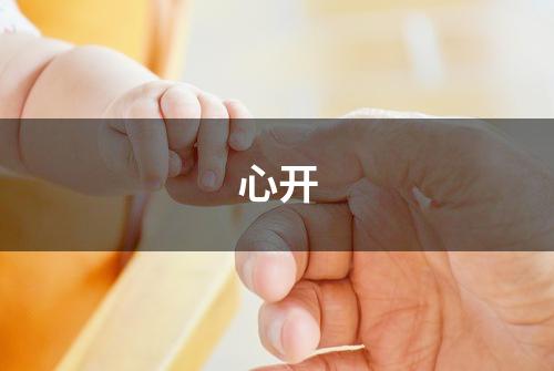 心开