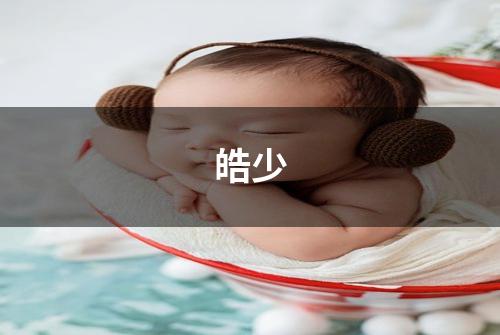皓少