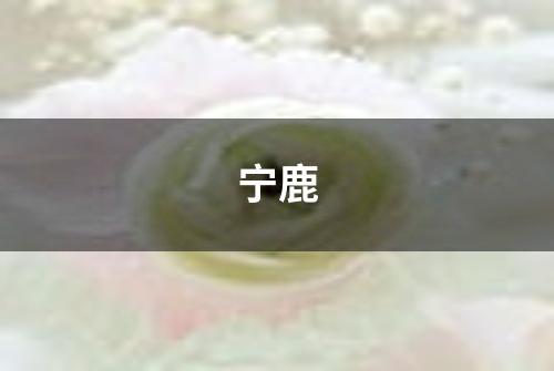 宁鹿