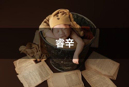 睿辛