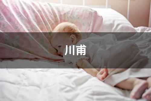 川甫
