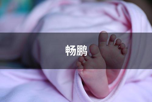 畅鹏