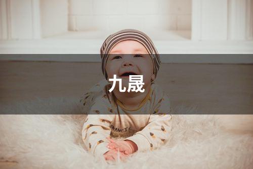 九晟