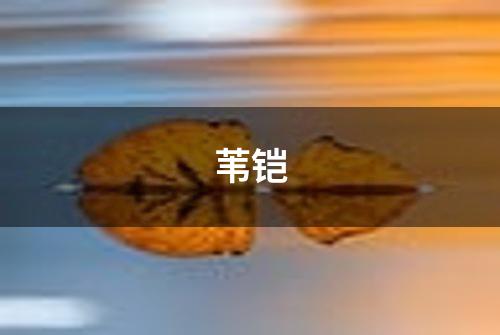 苇铠