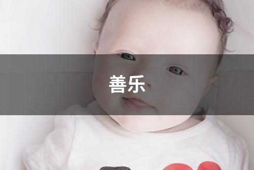善乐