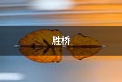 胜桥
