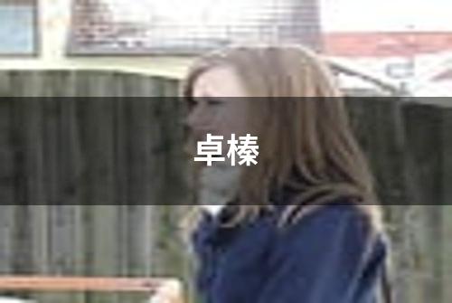 卓榛