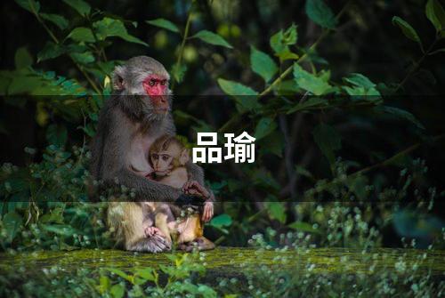品瑜