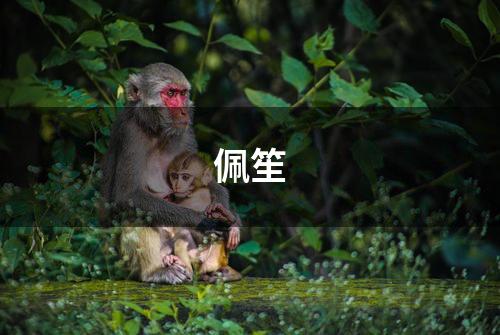佩笙