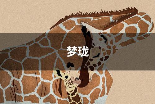 梦珑