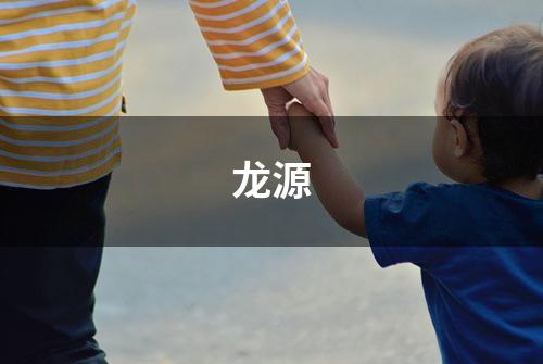 龙源