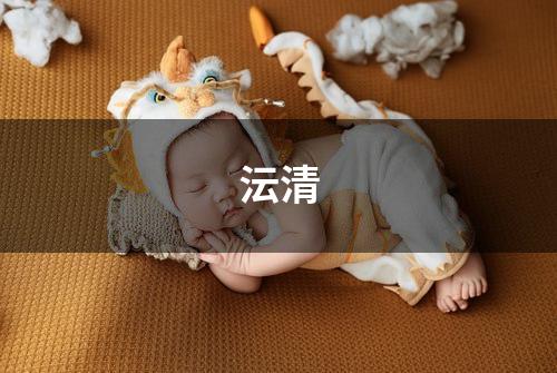 沄清