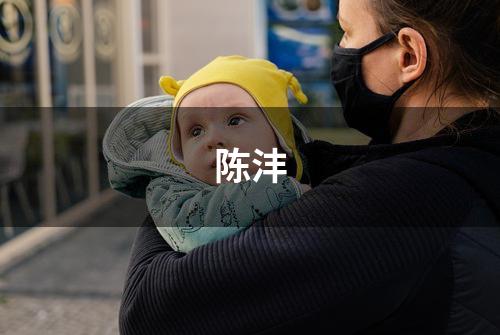 陈沣