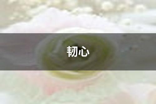韧心