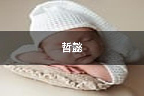 哲懿