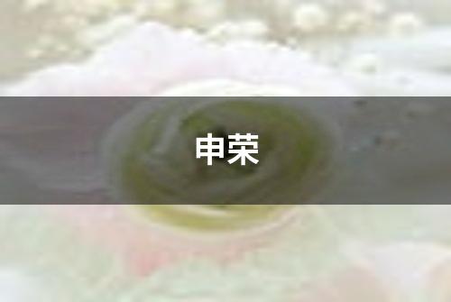 申荣