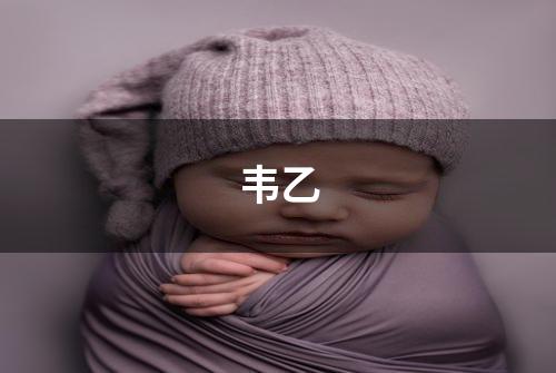 韦乙