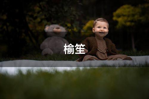 榆笙