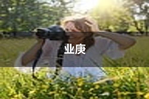 业庚
