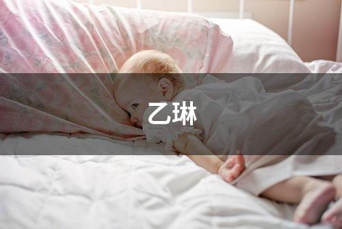 乙琳