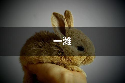 一潍