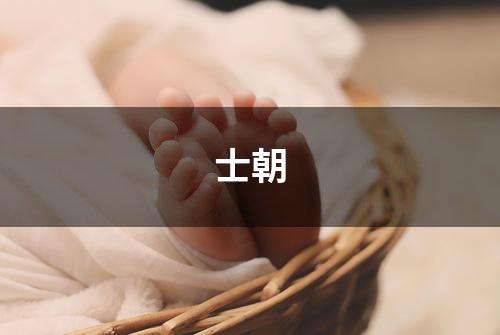 士朝
